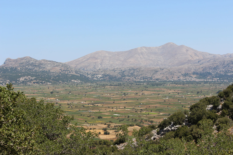 Kreta: Land Rover-safari genom platåbergenKretas rundtur från Stalis, Malia och Sissi