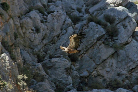 Kreta: Land Rover-Tour durch die Katharo-Hochebene