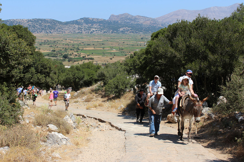 Kreta: Land Rover Safari Poprzez Katharo Plateau