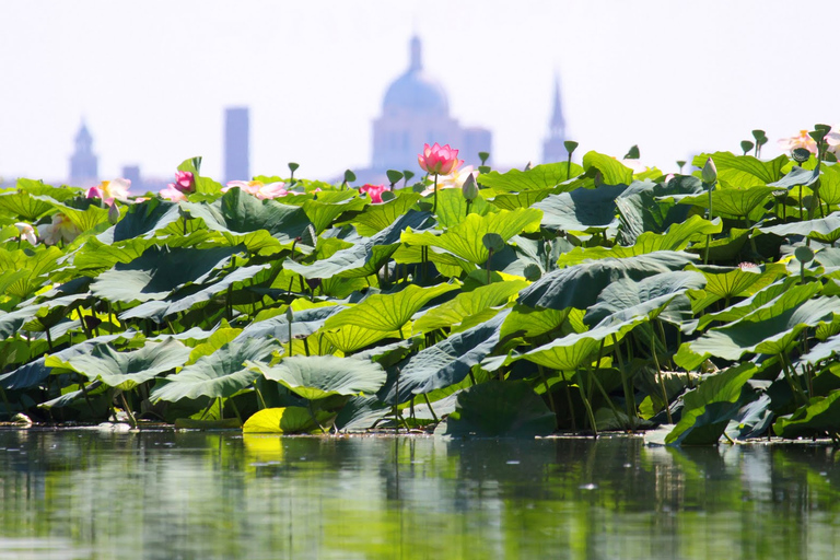 Mantova City Center and Ducal Palace: 3-Hour Guided Tour