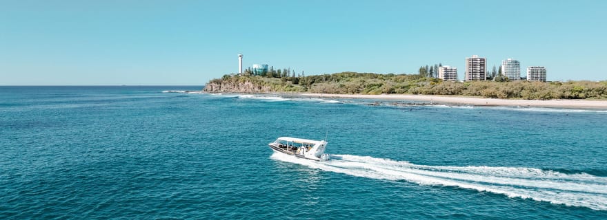 Mooloolaba : Aventure Rafting Turtle Tour