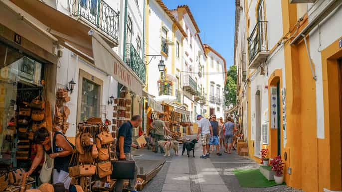 Évora private tour from lisbon