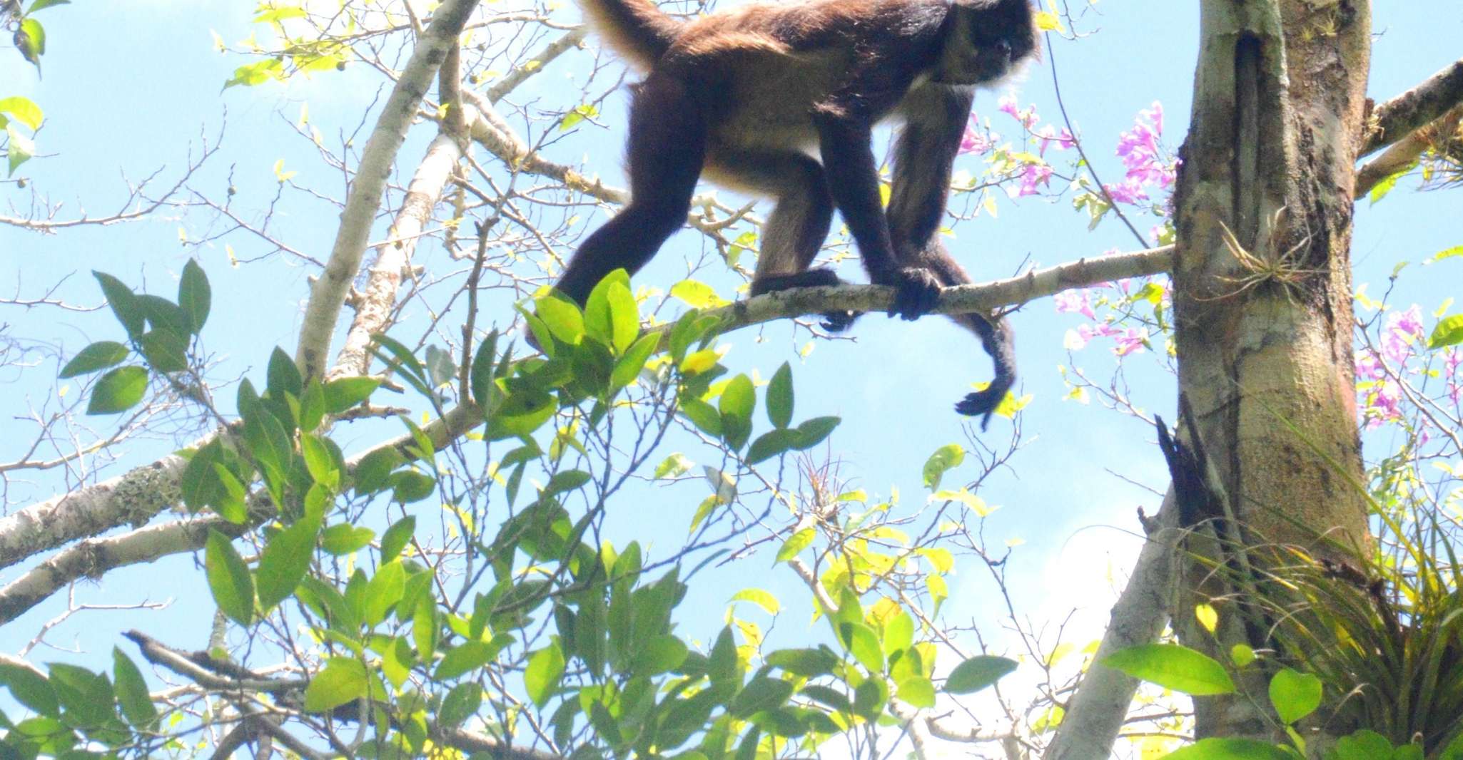 Calakmul hiking - Housity