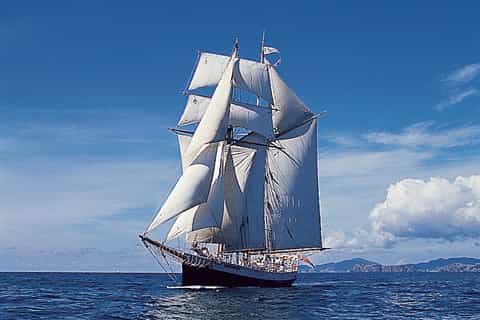 Bay of Islands: Late namiddag zeilcruise