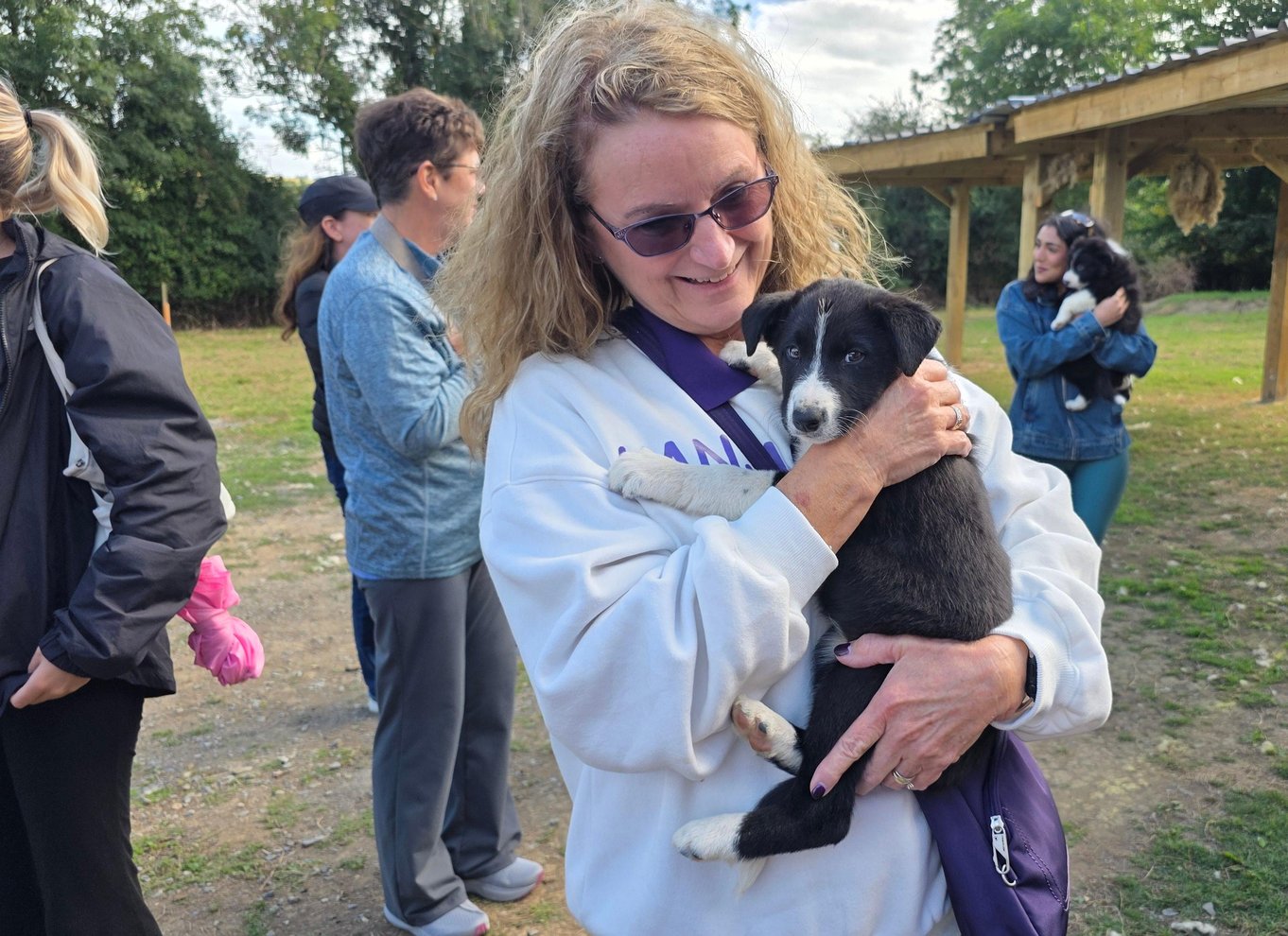 Wicklow: Hyrdeoplevelse og fårehundedemonstration