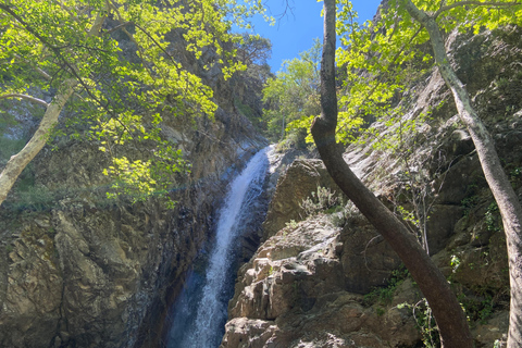 Meet the locals of Troodos Mountains