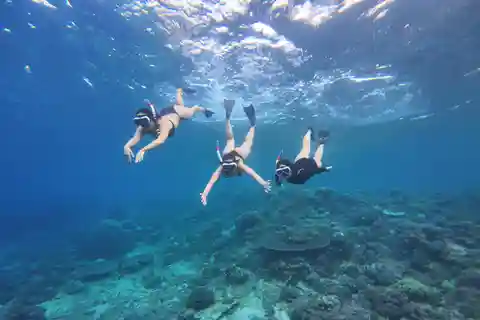 Bali: Nusa Penida: Snorkeling, West trip, lunch & speed boat
