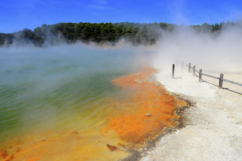 From Auckland: Rotorua Highlights Group Tour Rotorua Tour and Redwoods Treetop Walk