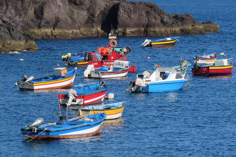 From Funchal: Sea Cliffs and Wine Tasting 4WD Tour