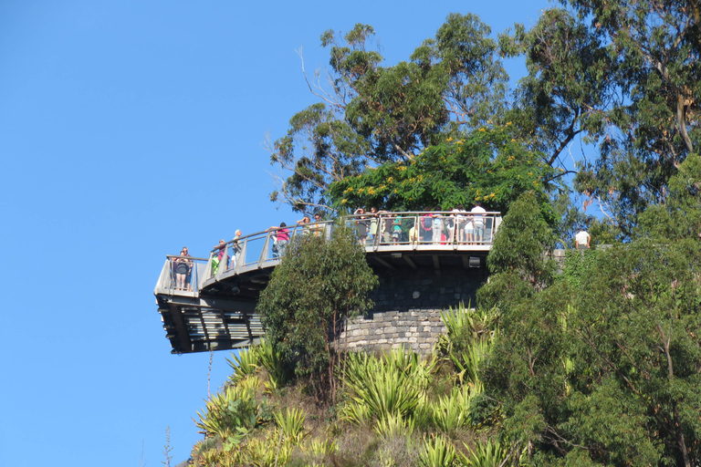 From Funchal: Sea Cliffs and Wine Tasting 4WD Tour