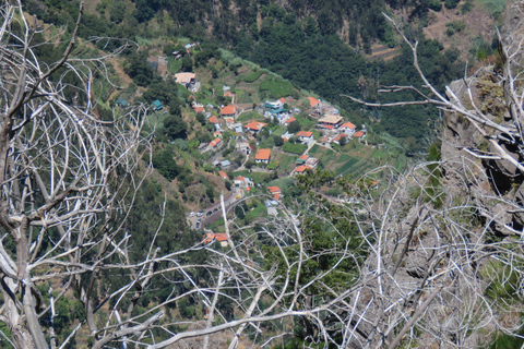 From Funchal: Sea Cliffs and Wine Tasting 4WD Tour