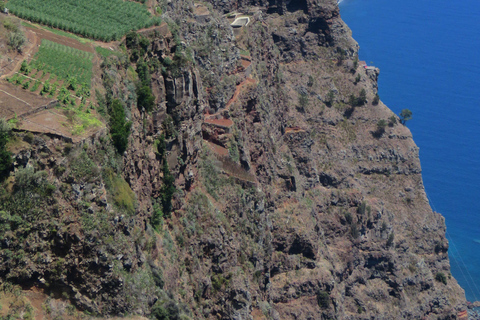 From Funchal: Sea Cliffs and Wine Tasting 4WD Tour