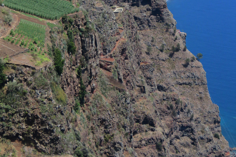 From Funchal: Sea Cliffs and Wine Tasting 4WD Tour