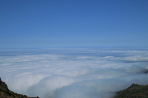 Desde Funchal: tour de 1 día a los picos de Madeira en 4x4