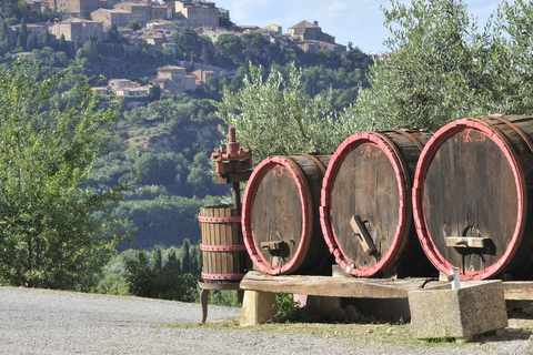 Private Chianti and SuperTuscan Shore Excursion from Livorno Shore Excursion from Livorno