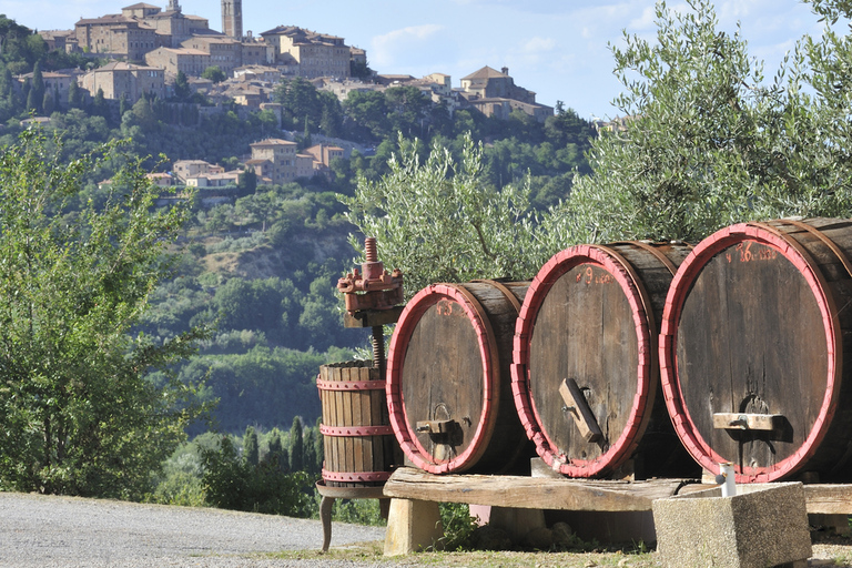 Private Chianti and SuperTuscan Shore Excursion from Livorno Shore Excursion from Livorno