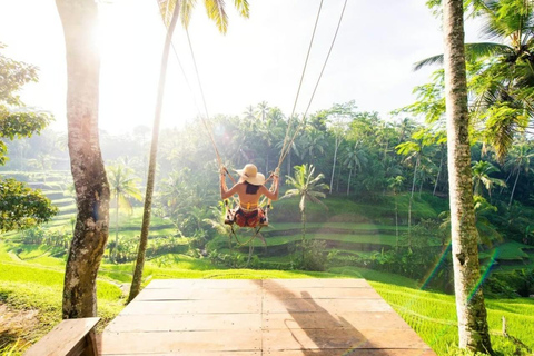 Ubud Full-Day Private Guided Tour: Temple, Waterfall & Swing Ubud Private Tour – Entry Tickets Not Included