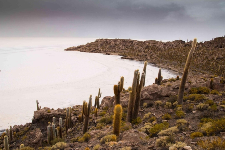 Zoutvlakte van Uyuni: Vanuit Sucre | 1 dag en 1 nacht