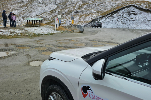 Queenstown: Glenorchy and Wanaka Private Day Trip