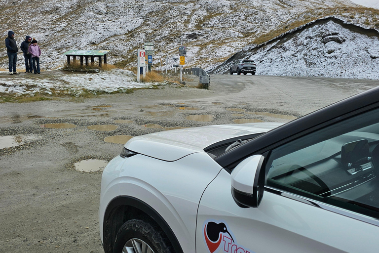 Queenstown: Glenorchy and Wanaka Private Day Trip