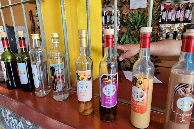 Full-Day Tour to Paracas, Vineyards and Huacachina