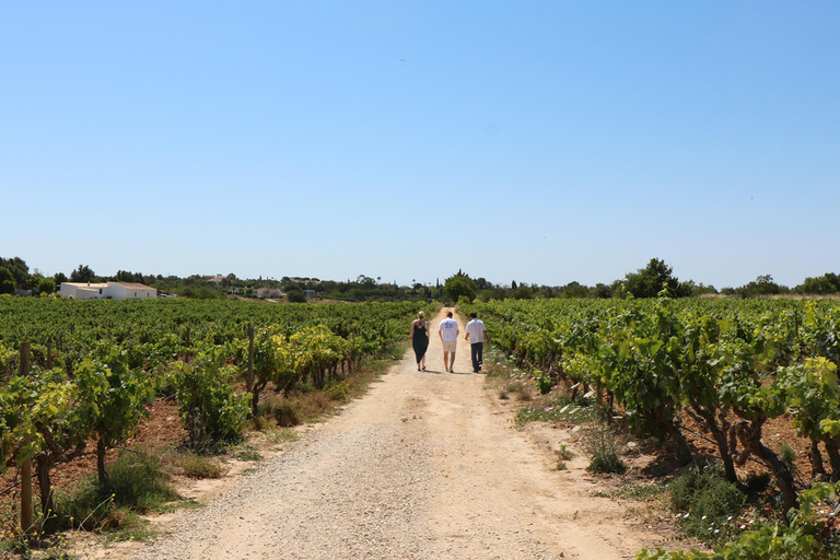 Albufeira y Vilamoura: Ruta del Vino, Catas, Tapas y MúsicaTour privado sin servicio de recogida