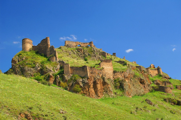 From Tbilisi to Vardzia, Rabati, Borjomi, and Tmogvi Tour