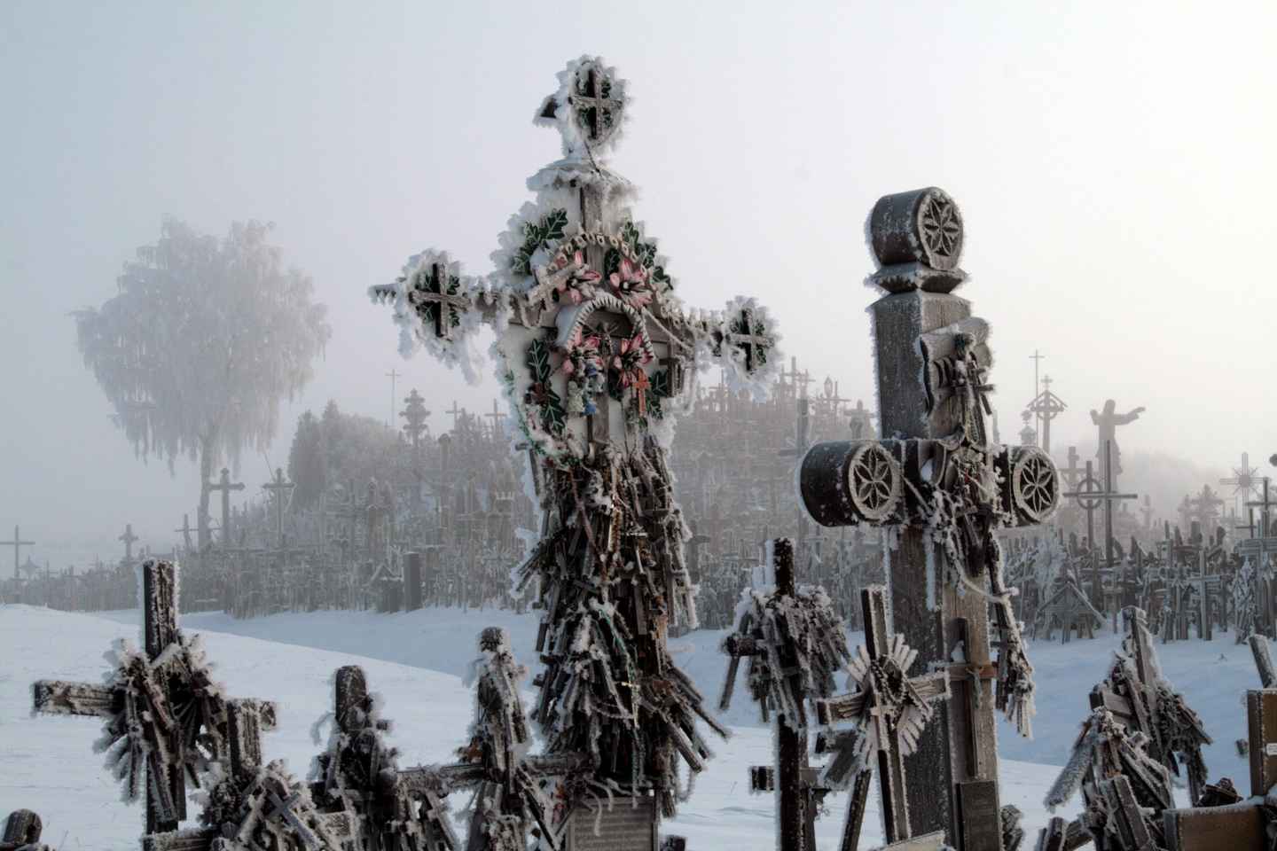 Из Риги: экскурсия на Холм крестов и жемчужины Елгавы