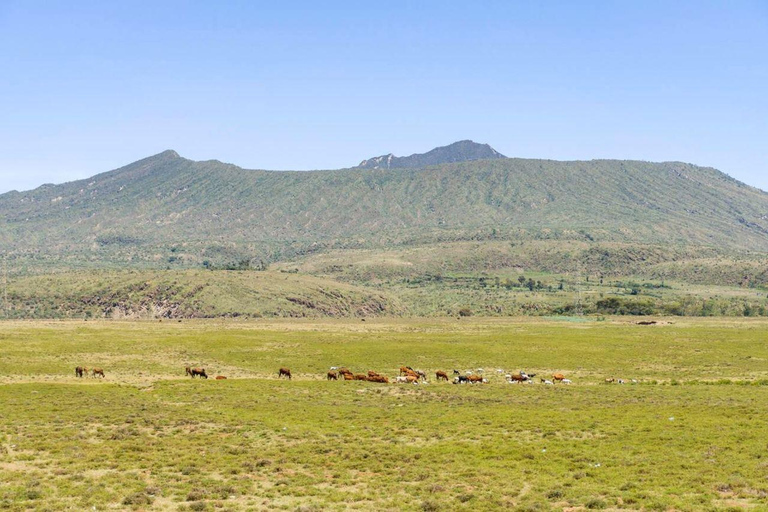 Nairobi: Private Hiking and day Tour Mt Longonot