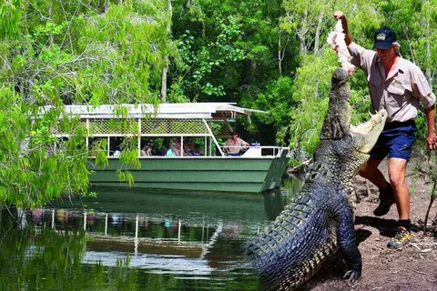 From Port Douglas: Hartley's Crocodile Park, Skyrail & Train