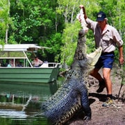 From Port Douglas: Hartley's Crocodile Park, Skyrail & Train