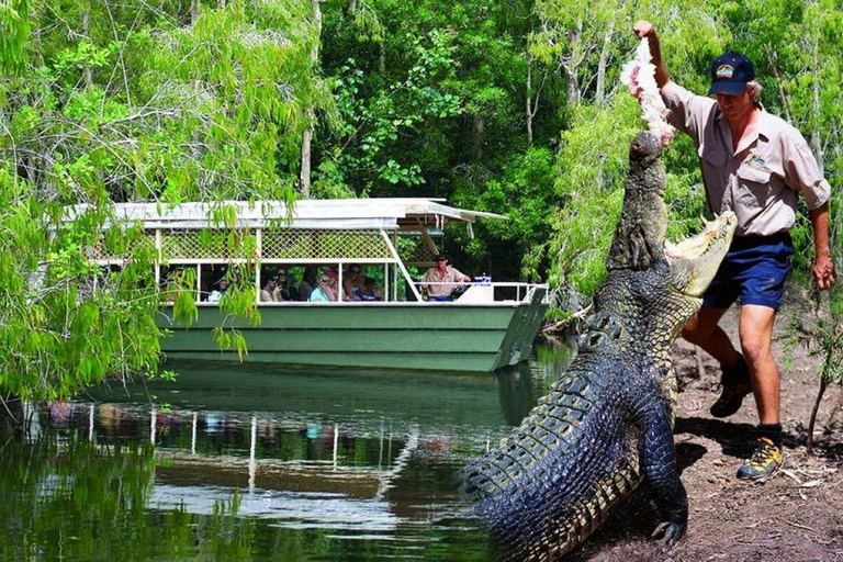 Desde Port Douglas Parque de Cocodrilos de Hartley, Skyrail y Tren