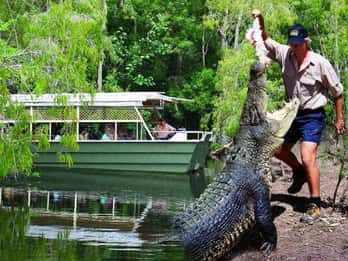 Vanuit Port Douglas: Hartley's Krokodillenpark, Skyrail & Trein