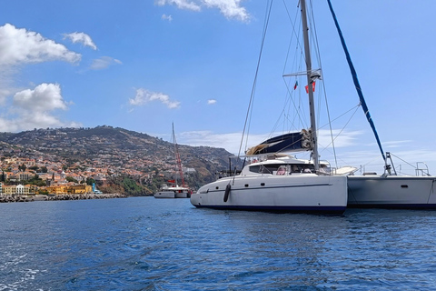 Tenerife: PRIVATE Catamaran cruise with Lunch and Drinks