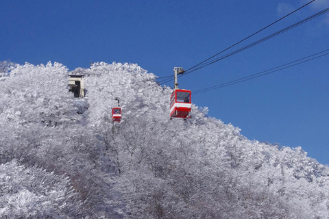 Tóquio: Viagem privada de 1 dia a Nikko com visita ao Santuário Toshogu