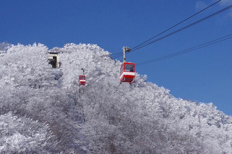 Tokyo : Excursion privée d&#039;une journée à Nikko avec visite du sanctuaire de Toshogu