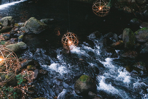 Tokyo: Nagano, Snow Monkeys and Zenko-ji Temple Private Tour