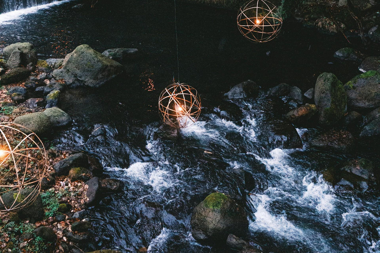 Tokyo: Nagano, Snow Monkeys and Zenko-ji Temple Private Tour