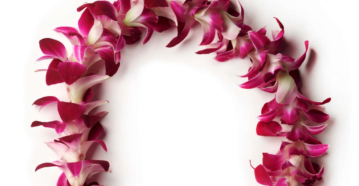 Oahu: Honolulu Airport (HNL) Traditional Lei Greeting