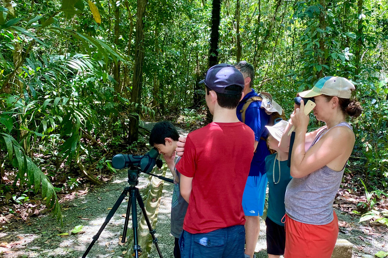 Parque Manuel Antonio: Excursão a pé guiada com um naturalistaTour particular