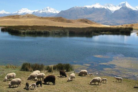 Percorso escursionistico privato attraverso la laguna di Wilcacocha.