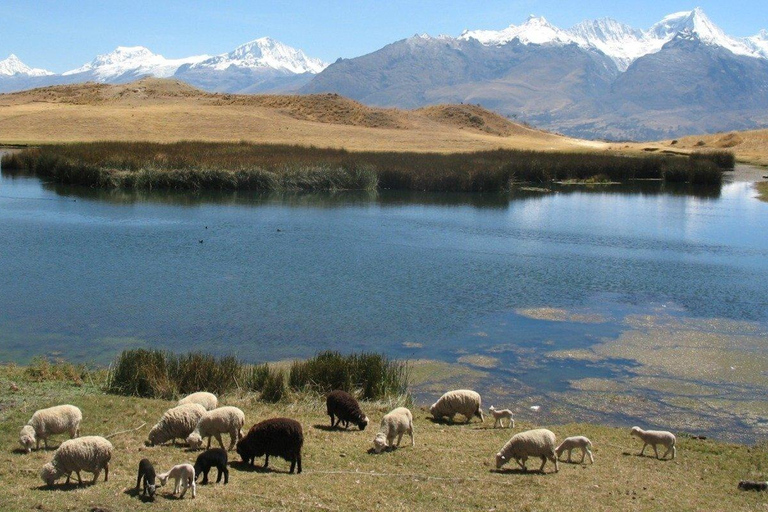 Private hiking route through the Wilcacocha lagoon.