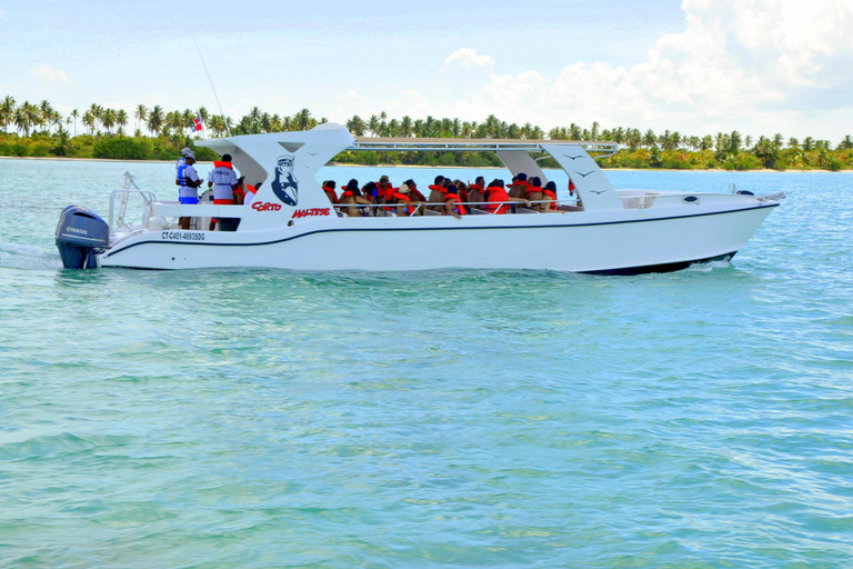 Punta Cana: Saona Island & Altos de Chavón Day Trip
