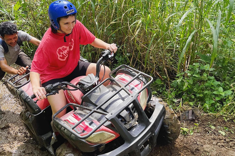 Bali: Dolphin Swimming Tour with ATV Quad Bike & Waterfall Dolphin, Waterfall, Tandem ATV Bike (Central & South Bali)
