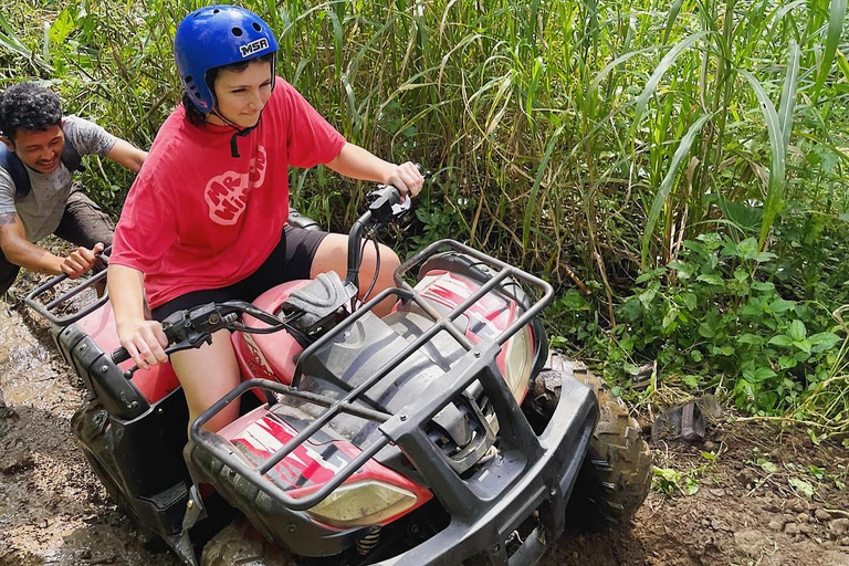 Bali: Dolphin Swimming Tour with ATV Quad Bike & Waterfall Dolphin, Waterfall, Tandem ATV Bike (Central & South Bali)