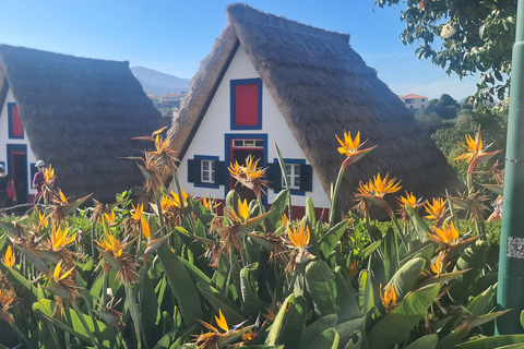 فونشال: جولة عائلية في جزيرة ماديراجولة عائلية في جزيرة ماديرا