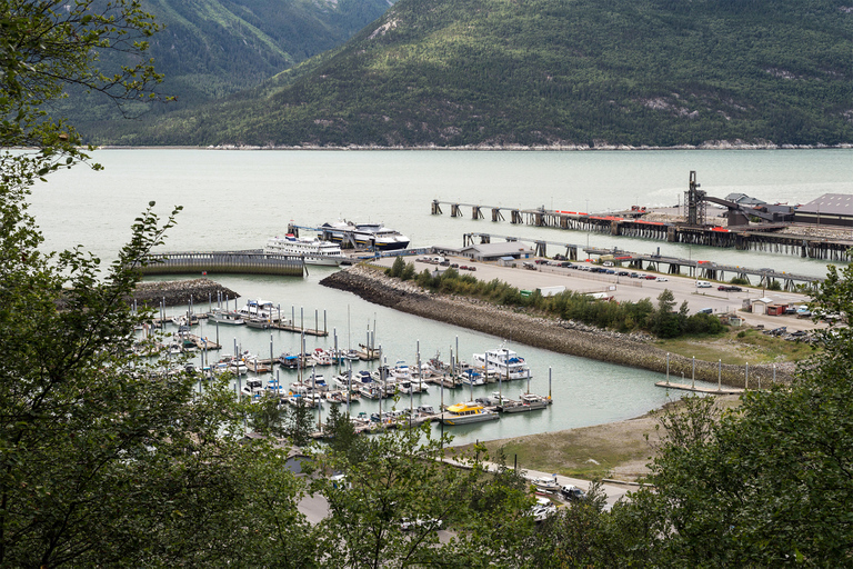 From Skagway: White Pass Summit Guided Bus Tour