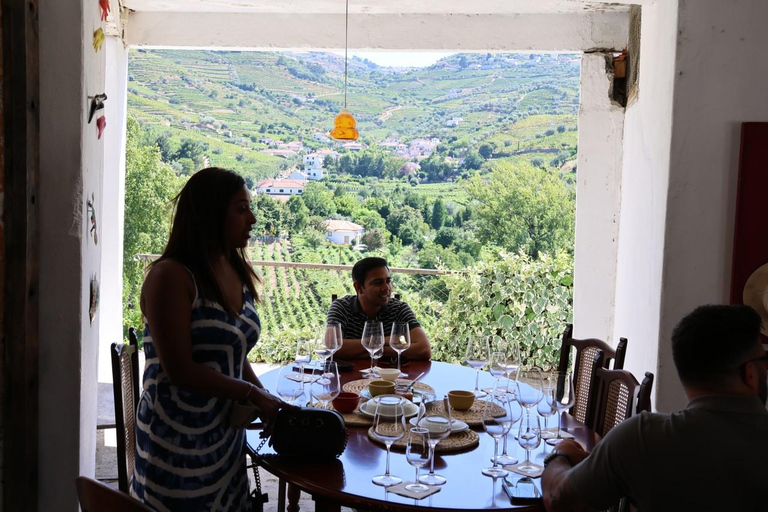 From Porto: 2 Boutique Wineries w/ Winery Lunch & 1-h cruise Tour in English