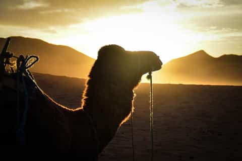 2-Day Desert Excursion from Marrakech