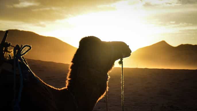 excursão de 2 dias ao deserto saindo de marrakech